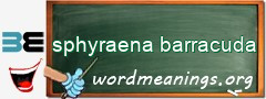WordMeaning blackboard for sphyraena barracuda